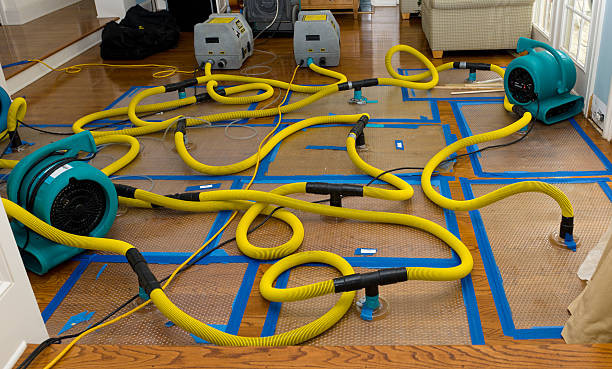 Professional Water Damage Repair technician working in Montreat, NC
